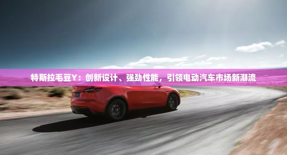特斯拉毛豆Y：创新设计、强劲性能，引领电动汽车市场新潮流