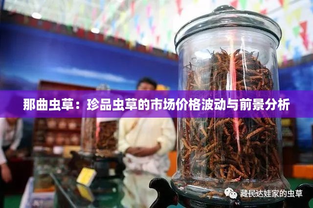 ruixuefenfei 第12页