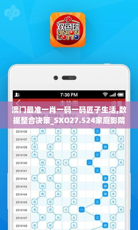 澳门最准一肖一码一码匠子生活,数据整合决策_SXO27.524家庭影院版