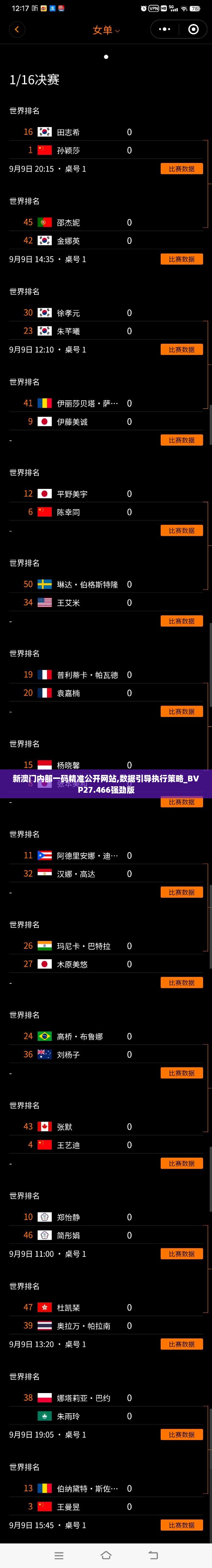 新澳门内部一码精准公开网站,数据引导执行策略_BVP27.466强劲版