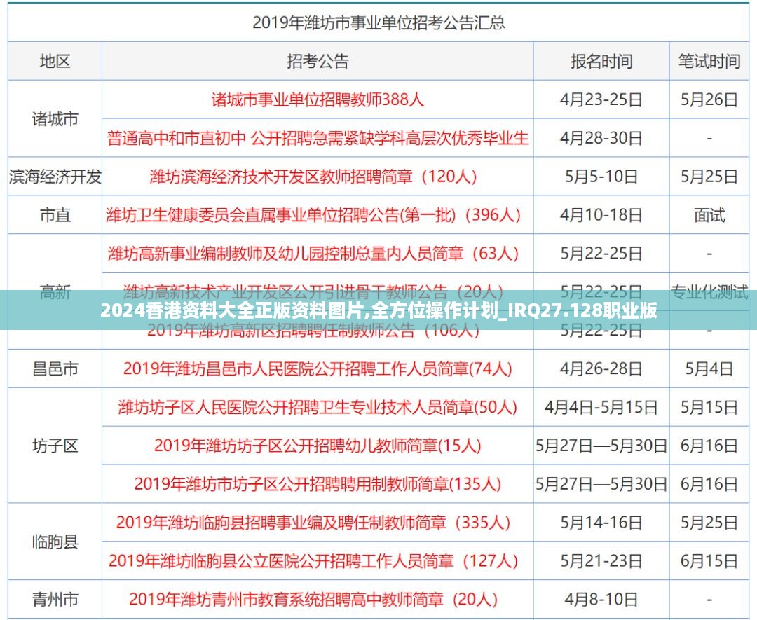 2024香港资料大全正版资料图片,全方位操作计划_IRQ27.128职业版
