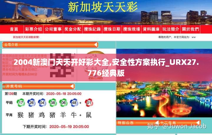 2004新澳门天天开好彩大全,安全性方案执行_URX27.776经典版