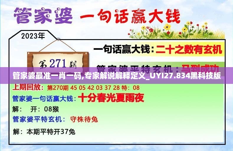 管家婆最准一肖一码,专家解说解释定义_UYI27.834黑科技版