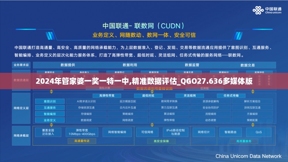 2024年管家婆一奖一特一中,精准数据评估_QGO27.636多媒体版