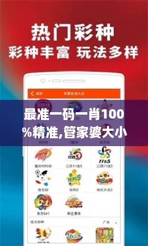 最准一码一肖100%精准,管家婆大小中特,统计材料解释设想_FIQ27.309按需版