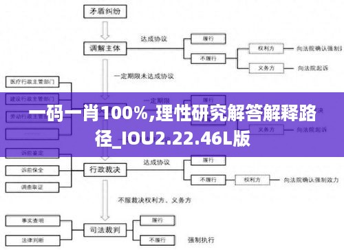 一码一肖100%,理性研究解答解释路径_IOU2.22.46L版