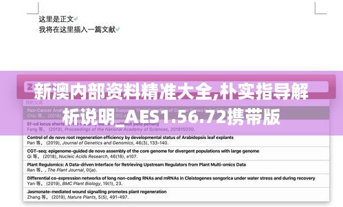 新澳内部资料精准大全,朴实指导解析说明_AES1.56.72携带版