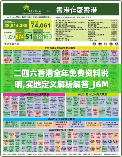 二四六香港全年免费资料说明,实地定义解析解答_JGM2.11.97网页版