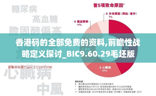 香港码的全部免费的资料,前瞻性战略定义探讨_BIC9.60.29毛坯版