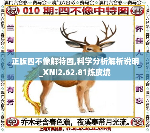 正版四不像解特图,科学分析解析说明_XNI2.62.81炼皮境