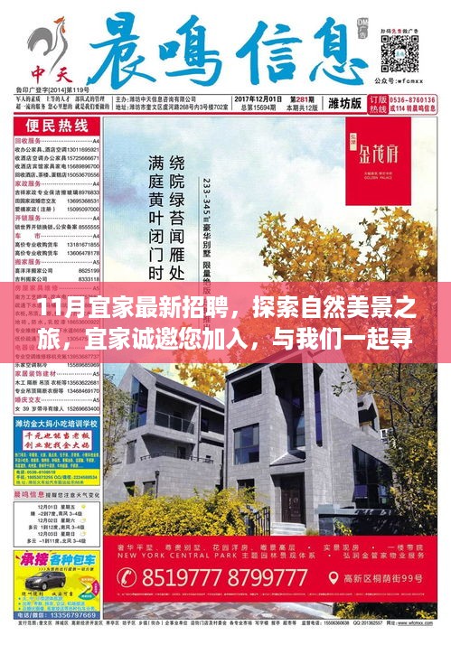 feiyipuhuo 第11页