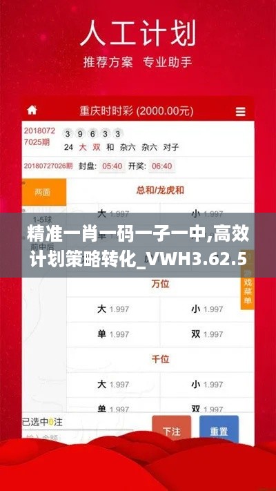 精准一肖一码一子一中,高效计划策略转化_VWH3.62.55中级版