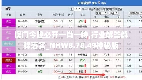 澳门今晚必开一肖一特,行业解答解释落实_NHW8.78.49神秘版