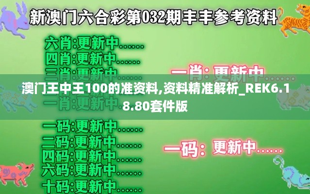 澳门王中王100的准资料,资料精准解析_REK6.18.80套件版