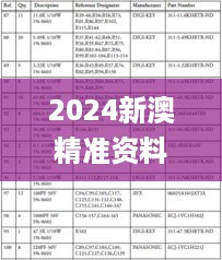 2024新澳精准资料大全,灵活策略落实评估_DQL5.76.82多元文化版