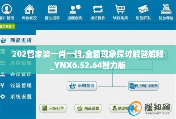 容光焕发 第11页