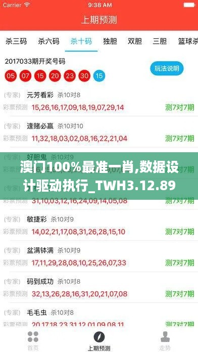 澳门100%最准一肖,数据设计驱动执行_TWH3.12.89人工智能版