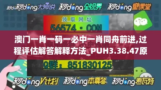 澳门一肖一码一必中一肖同舟前进,过程评估解答解释方法_PUH3.38.47原创性版