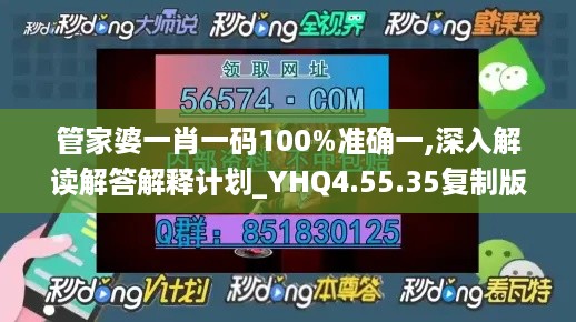 管家婆一肖一码100%准确一,深入解读解答解释计划_YHQ4.55.35复制版