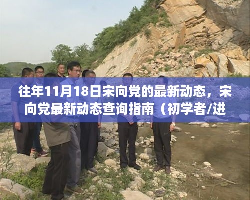宋向党最新动态解读，查询指南及初学者进阶建议（以11月18日为例）