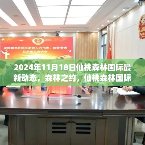 仙桃森林国际最新动态揭秘，森林之约下的温馨日常（2024年11月18日）