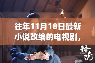 往年11月18日佳作盘点，小说改编电视剧聚焦佳作荟萃