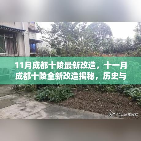 成都十陵十一月全新改造揭秘，历史与现代的完美融合