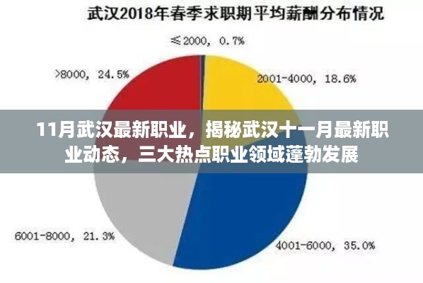 揭秘武汉十一月最新职业动态，三大热点职业领域蓬勃发展，探寻最新职业机会