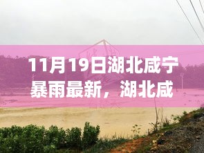 湖北咸宁暴雨最新动态，影响及应对措施揭秘