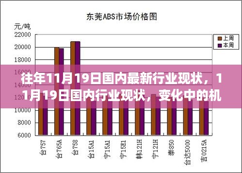 建议，变化中的机遇，11月19日国内行业现状深度解析与成就感的源泉