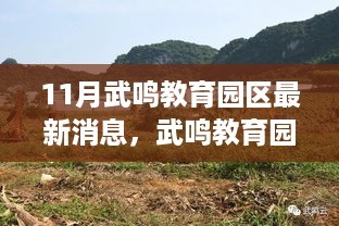 武鸣教育园区十一月新动态，自然探索之旅的心灵港湾