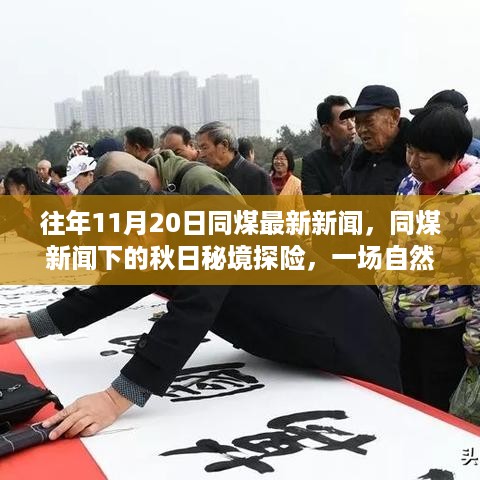 houniaonanfei 第11页