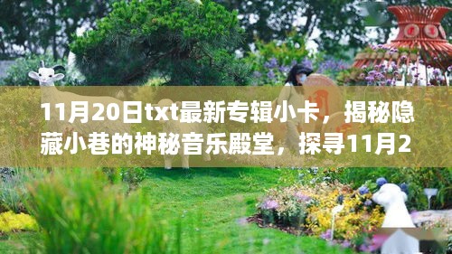 揭秘神秘音乐殿堂，探寻最新专辑小卡的独特故事（11月20日txt）