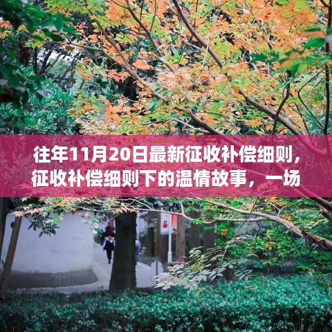 友情与家庭温情下的征收补偿细则，秋日序曲开启新篇章