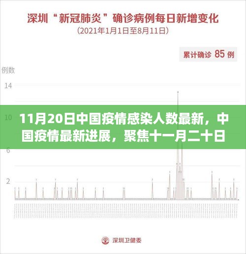 中国疫情最新进展报告，聚焦十一月二十日的感染人数与影响分析
