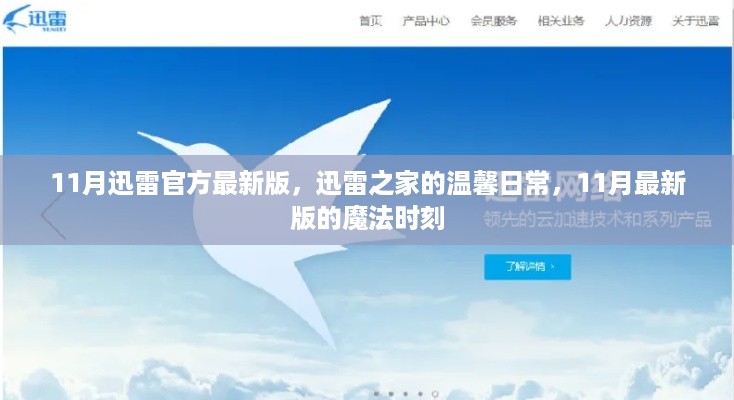 11月迅雷官方最新版，迅雷之家的温馨日常，11月最新版的魔法时刻
