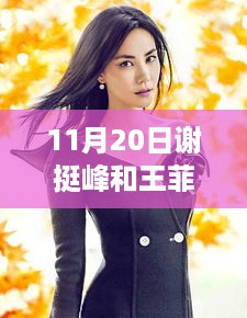 沉默的风 第11页