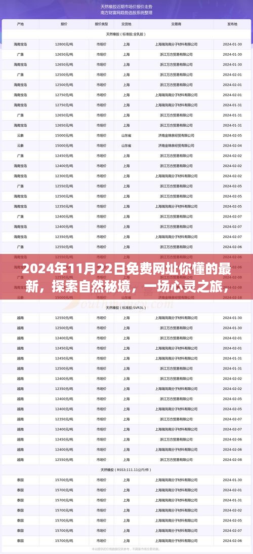 探索秘境的心灵之旅，免费启程，寻找内心的宁静与美景（2024年最新免费网址分享）