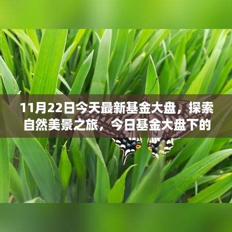 探索自然美景之旅与今日基金大盘的心灵宁静之旅报告（最新更新）