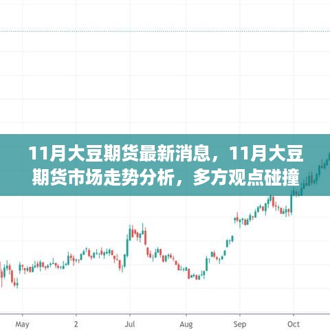 最新消息与分析，11月大豆期货市场走势的多方观点与个人立场阐述