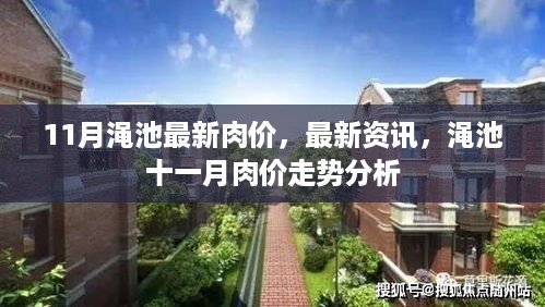 渑池十一月肉价走势分析与最新资讯