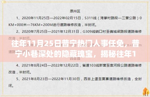 普宁人事任免揭秘，小巷深处的隐藏瑰宝与往年人事任免背后的故事（11月25日）