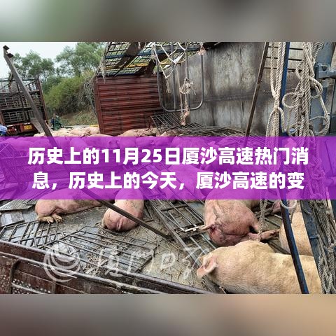 huanghuangzhangzhang 第9页