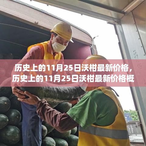 shenglisibie 第10页