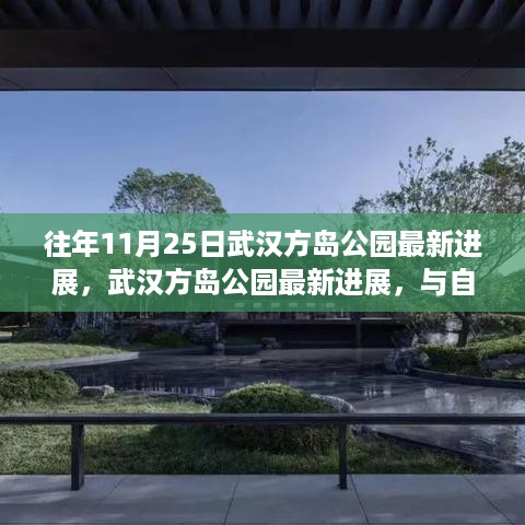 武汉方岛公园最新进展，与自然共舞的心灵宁静之旅（往年11月25日更新）
