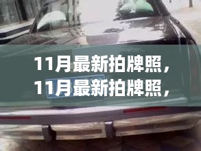 掌握最新拍牌照秘诀，11月最新车牌拍卖资讯速递