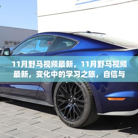 11月野马视频最新更新，变化中的学习之旅，自信与成就感的培育之源