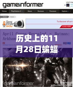 11月28日蝙蝠新闻回顾与深度解析，历史事件的全面指南