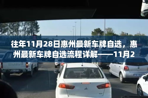 惠州最新车牌自选详解，操作流程指南（11月28日版）