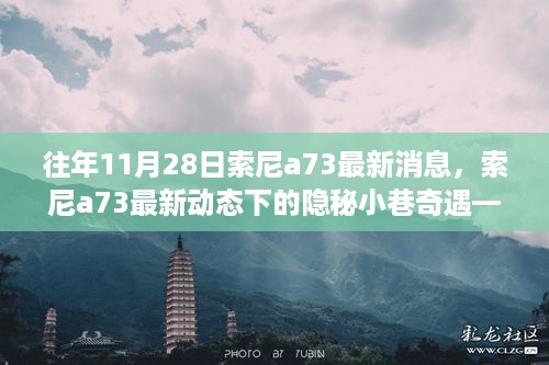 揭秘索尼a73最新动态下的隐秘摄影配件小店奇遇——往年11月28日最新消息